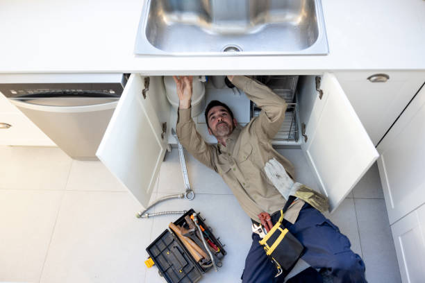 Best Water Softener Installation  in Euless, TX